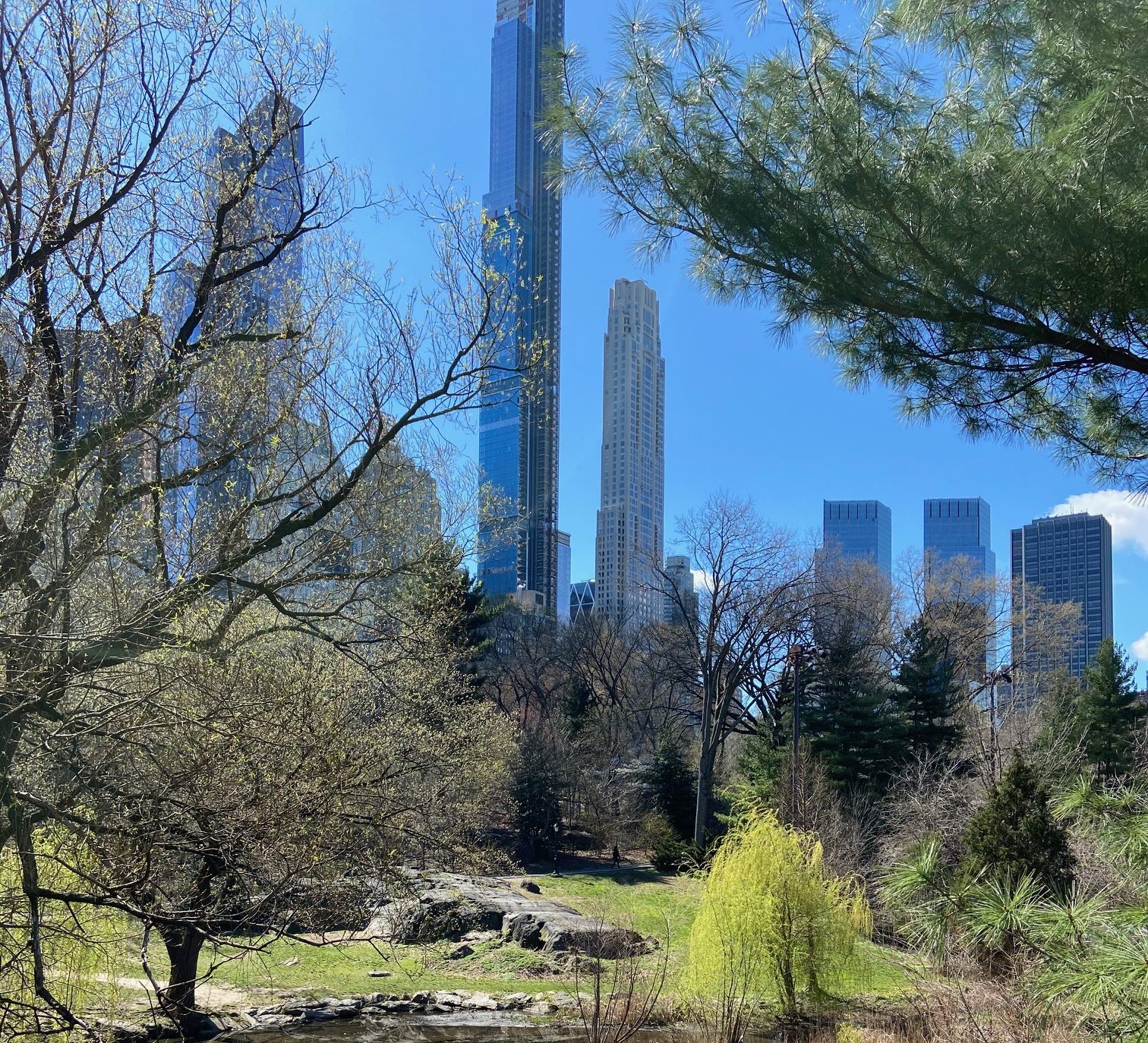 A green path through Central Park in New York City