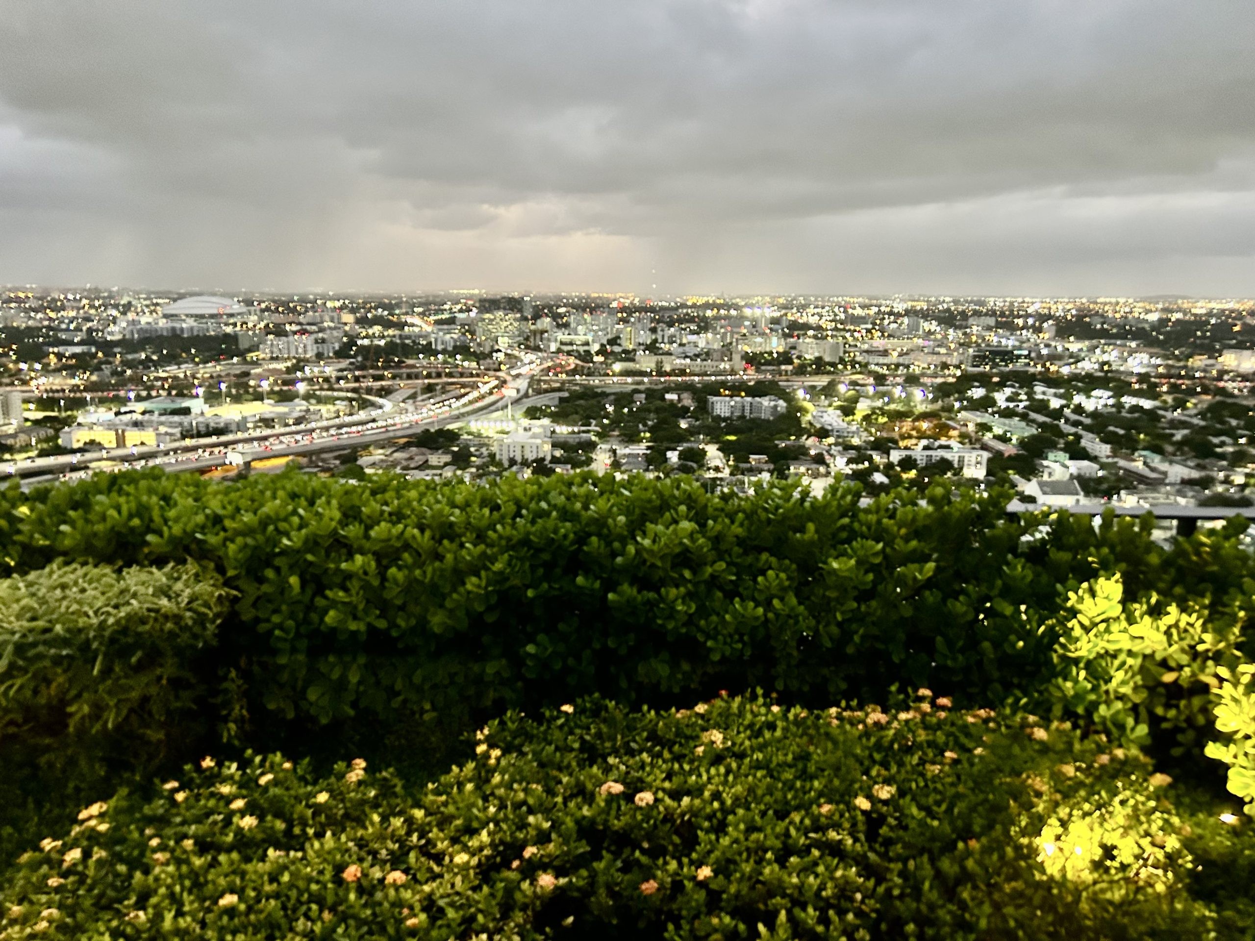 City lights at dusk seen past a green hillside